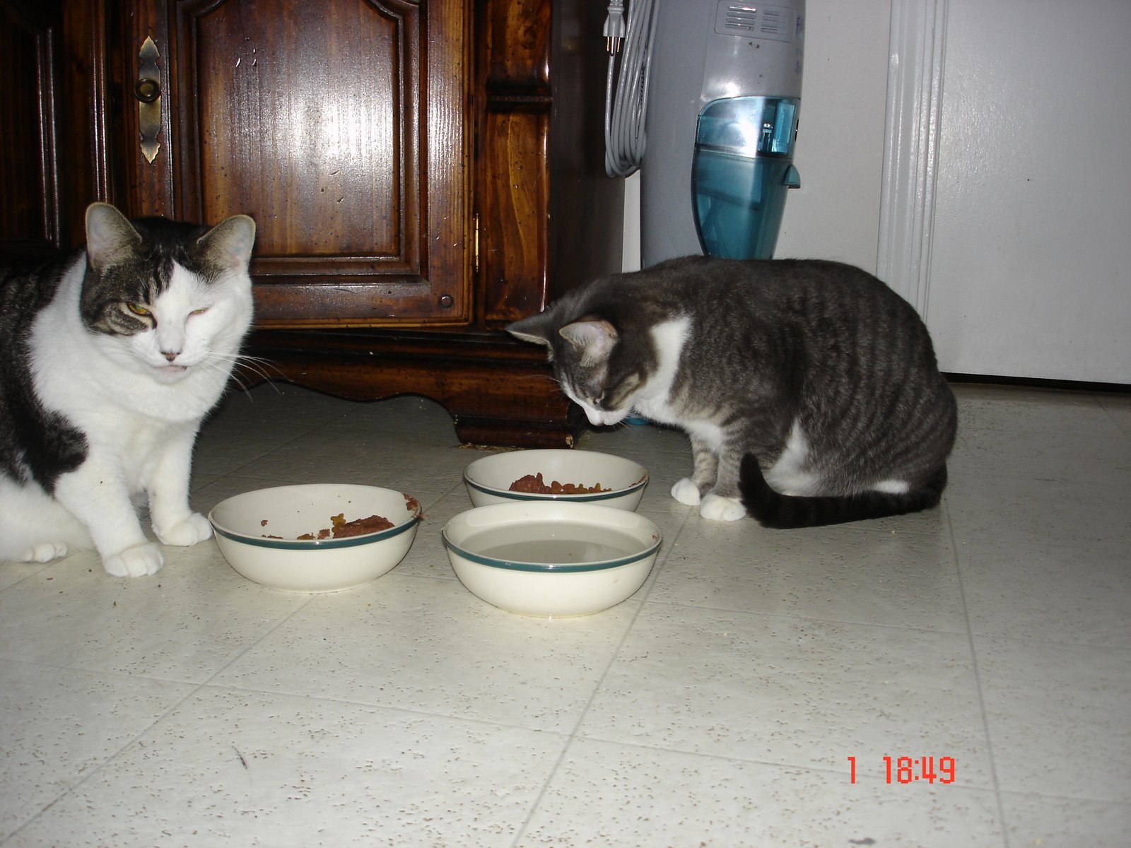 [DSC01908.JPG]