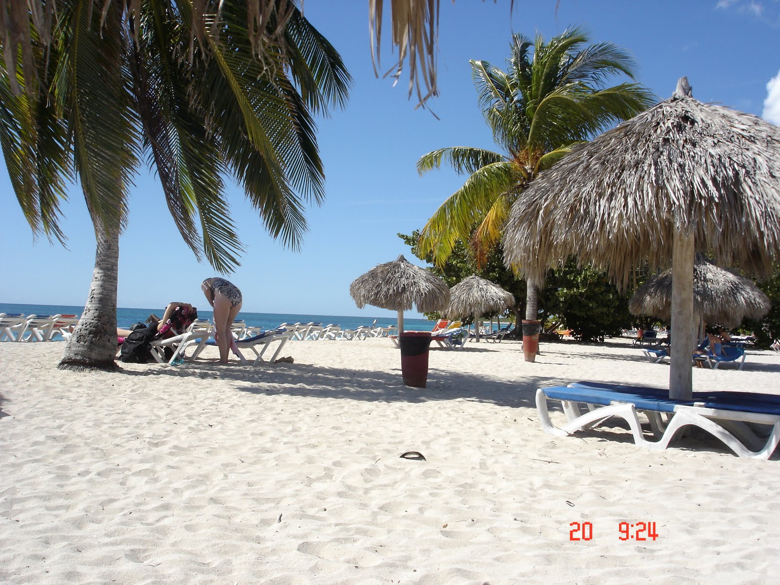 [DSC02147.JPG]