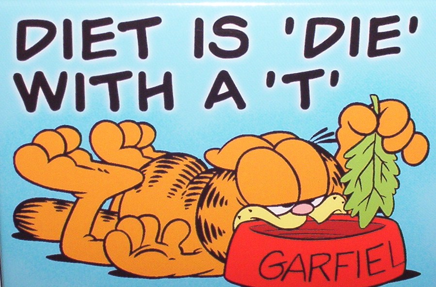 [garfield+diet.jpg]