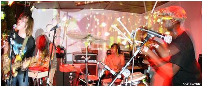 [Crystal_Antlers_live.jpg]