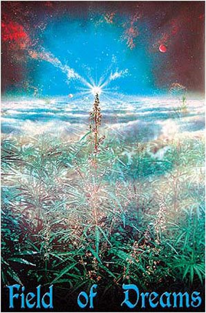 [lgimpst2109+field-of-dreams-growing-cannabis-poster.jpg]