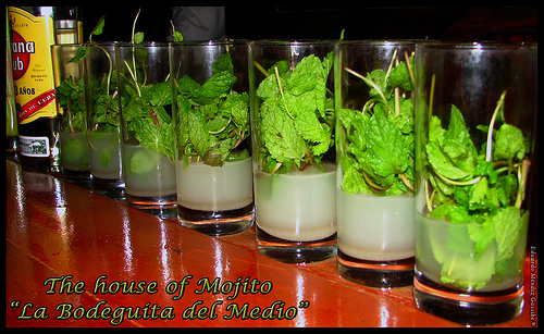 [1000272128_626c680f3e.jpg]