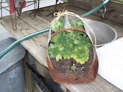 chick garden 2009 everywhere chicks scoop throw away don hens feed
