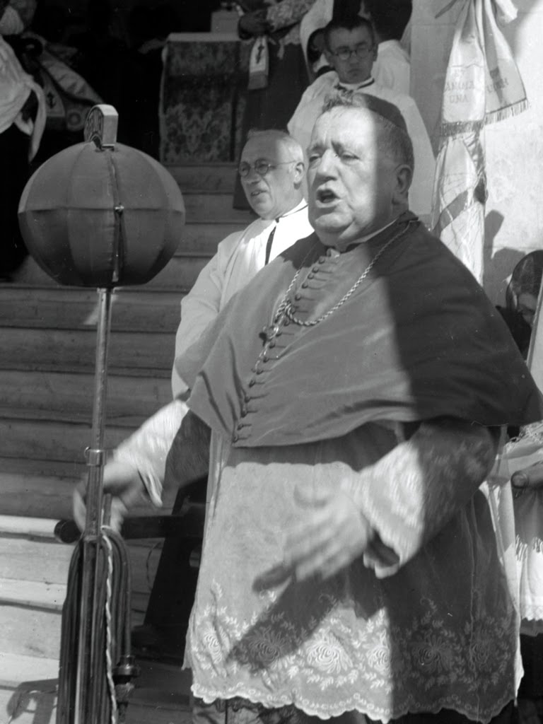 the far sight 2.0 José Alves Correia da Silva