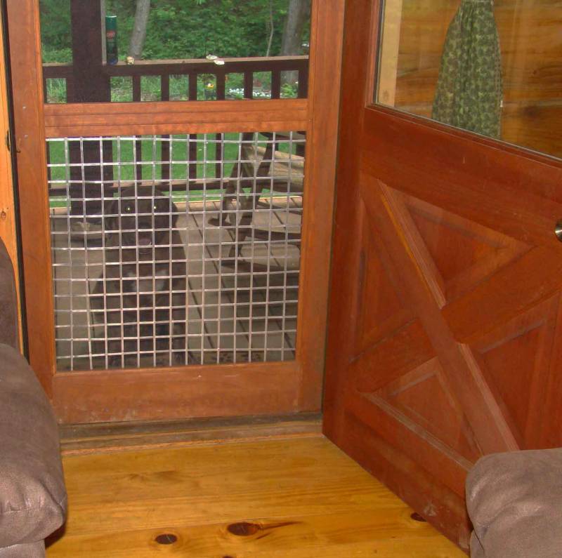 Morning Glories At A Snails Pace