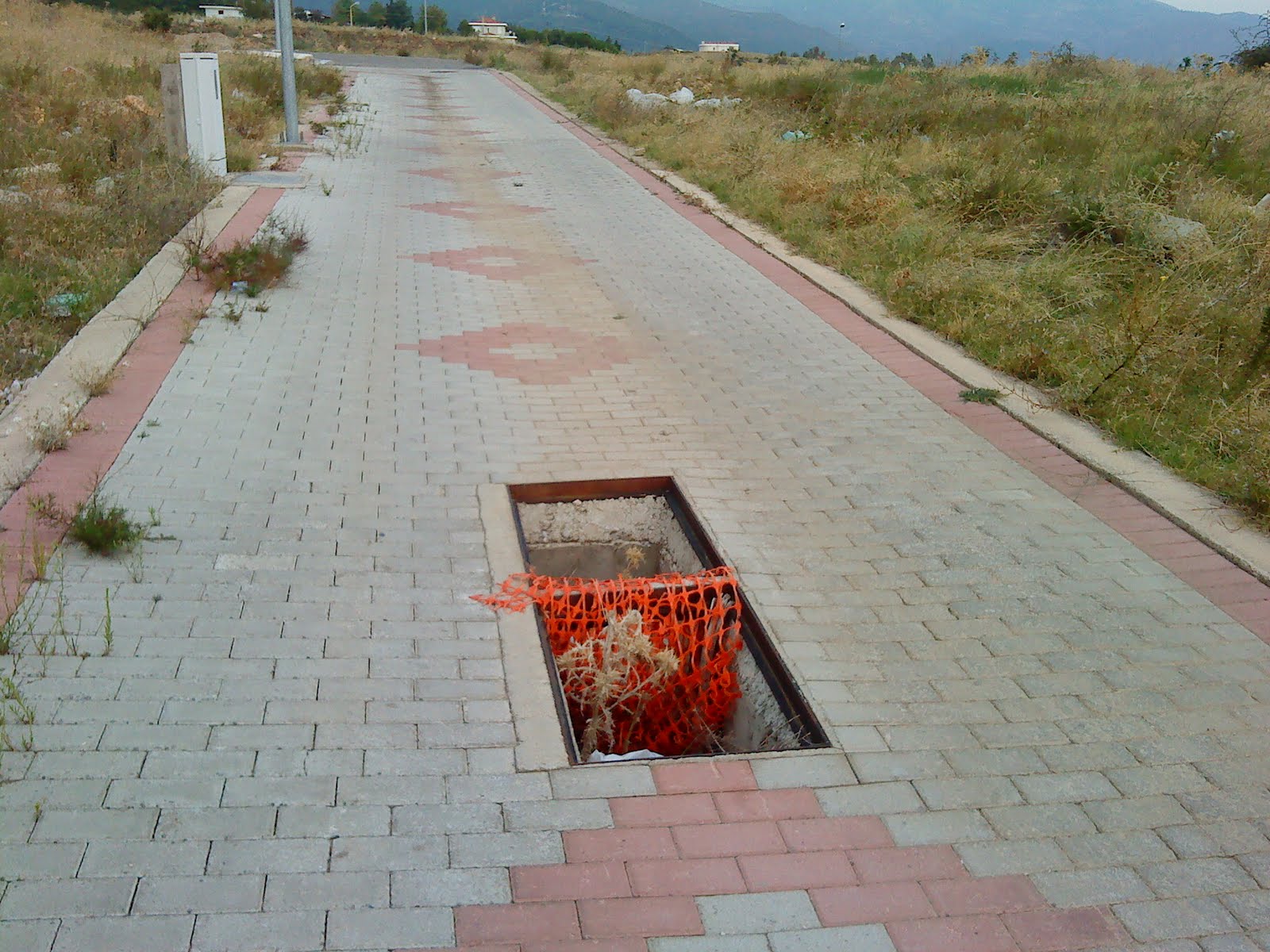 [DSC00044.JPG]
