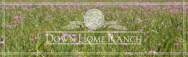 Down Home Ranch Blog