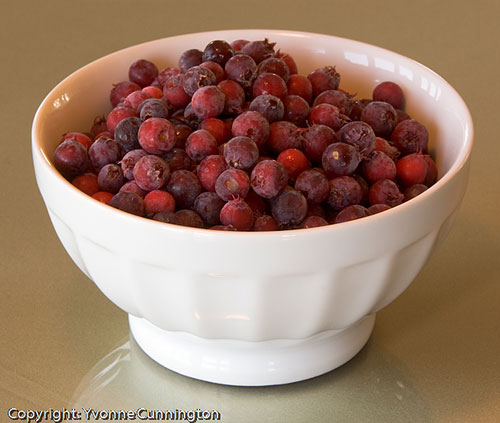 [Serviceberries-in-bowl.jpg]