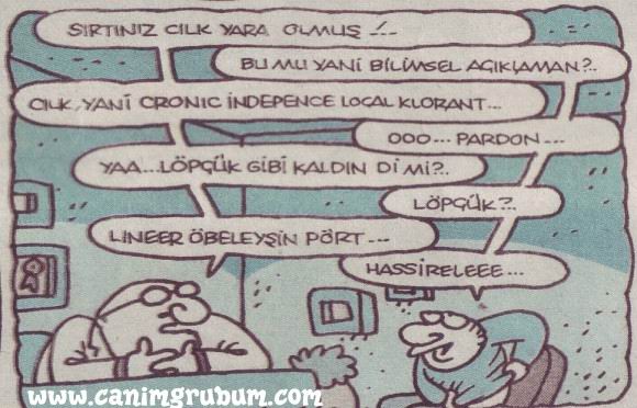 0700.jpg