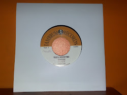 Serocee - You'll Never Find 7" Only