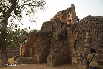 Posted by Ripple (VJ) : Humayun's Tomb, Delhi : Ruins of another tomb in the campus...