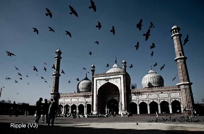 Posted by Ripple (VJ) : Delhi 6 - Jama Masjid : Pigeon-Studded Skies