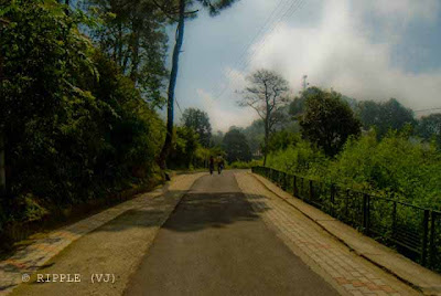 Kasauli is a small cantonment town in Solan district of Himachal Pradesh. The cantonment was established in 1842 by the British colonial rulers as a hill station. Located 75 km from Shimla, 63 km from Chandigarh and 48 km from Panchkula, it still retains the old world charms. Its a nice hill station which is less commercialized as compared to other tourist places in Himachal like Shimla or Manali. : Posted by Ripple (VJ) : ripple, Vijay Kumar Sharma, ripple4photography, Frozen Moments, photographs, Photography, ripple (VJ), VJ, Ripple (VJ) Photography, Capture Present for Future, Freeze Present for Future, ripple (VJ) Photographs , VJ Photographs, Ripple (VJ) Photography :Upper Mall Road @ Kasauli 