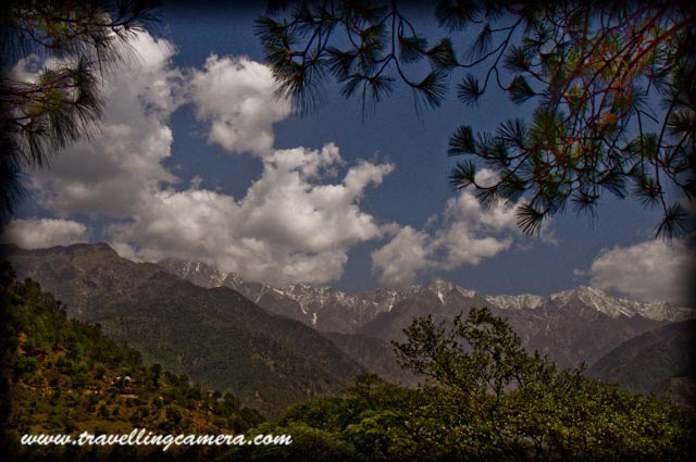 CATCH SOME AMAZING VIEWS OF SNOW-CAPPED HILLS FROM NEUGAL CAFE @ PALAMPUR (with Travelling-Camera) : PART-5 : Posted by VJ Sharma @ www.travellingcamera.com : Here is the next series of Photographs from Road Journey in Himachal Pradesh. Check out PART-1, PART-2, PART-3 and PART-4 of this journey before proceeding further...: Some folks from Delhi, enjoying ice-cream inside a Tea-Garden @ PalampurAfter a long journey from Mandi to Palampur through Hamipur and Sujanpur, we planned to celebrate the evening at Neugal Cafe. In above picture you are seeing a small shop on the way to Neugal cafe, where different varieties of KANGRA-TEA are available...A view of Tea Gardens on the way to Neugal cafe from main Market of Palampur...Palampur is the tea capital of northwest India but tea is just one aspect that makes Palampur a special interest place. Abundance of water and proximity to the mountains has endowed it with mild climate.Dhauladhar Range with snow-capped hills Palampur is a  green and fascinating hill station in the Kangra Valley in the Indian state of Himachal Pradesh which is surrounded on all sides by tea gardens and pine forests before they merge with the Dhauladhar ranges.A zoomed view of Dhauladhar range from Neugal Cafe @ PalampurPalampur is at the confluence of the plains and the hills - so the scenery shows the contrast the plains on one side and the majestic snow covered hills on the other side. Behind this town stands high ranges of Dhauladhar mountains whose tops remain snow covered for most part of the year.Here comes the photograph of Neugal Cafe.. Special thing about cafe is it's location.. I have been to this place many times but nevere entered inside this cafe.. We always preferred to have beer  on the edge of the hills in front of this cafe...The town has derived its name from the local word 