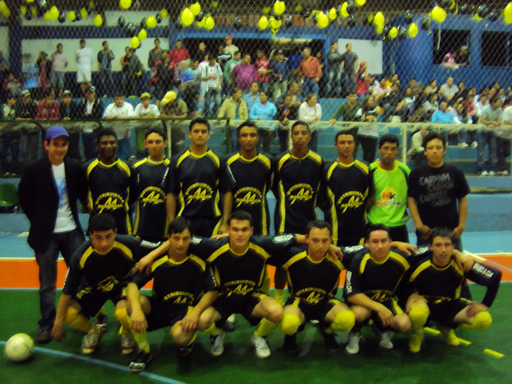 Campeonato Municipal de futsal 2ª Divisão 2010