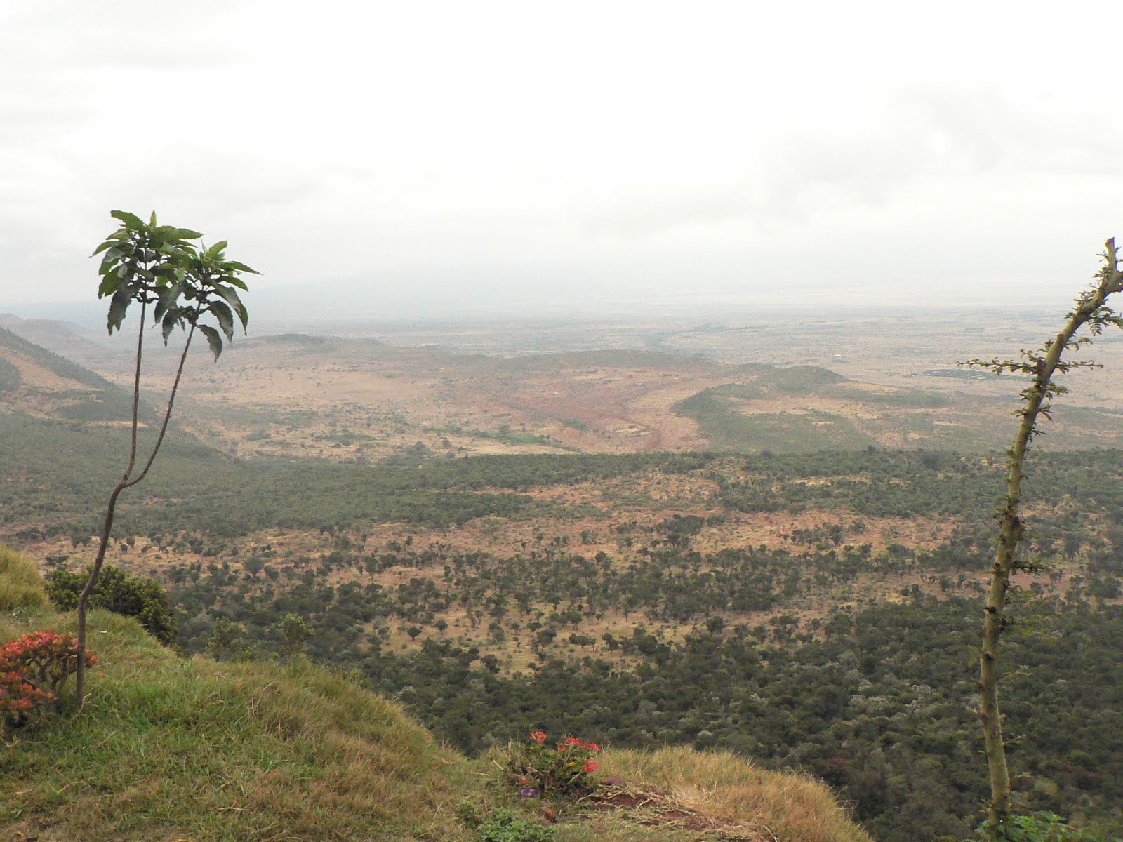 De l'autre côté de l'hémisphère La vallée du rift