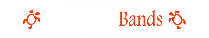 Mackinac Bands - Official Blog of the Mackinac Bands