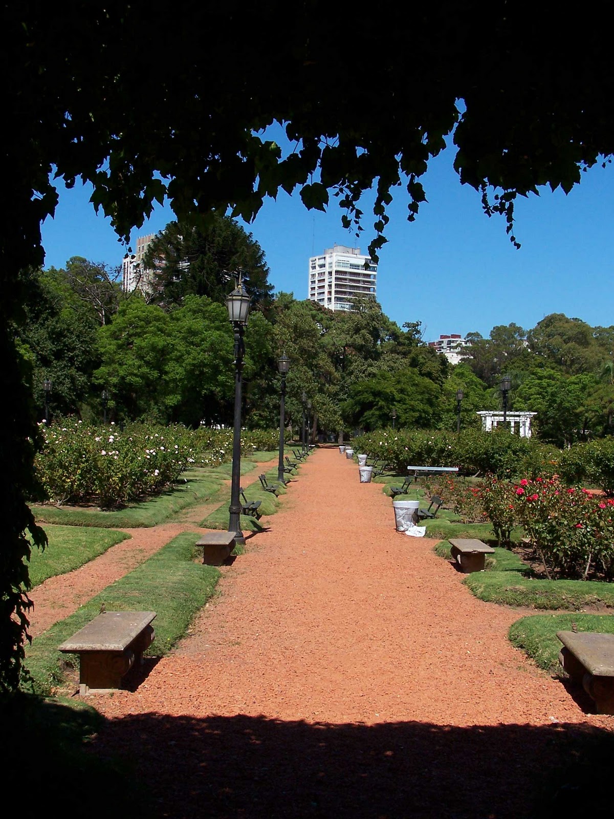 El Rosedal Parque Tres de Febrero,