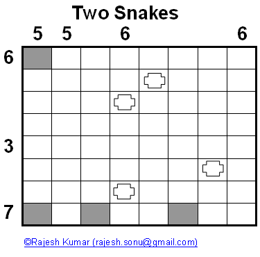 Logic Puzzles: Two Snakes
