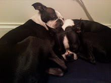 My Boys
