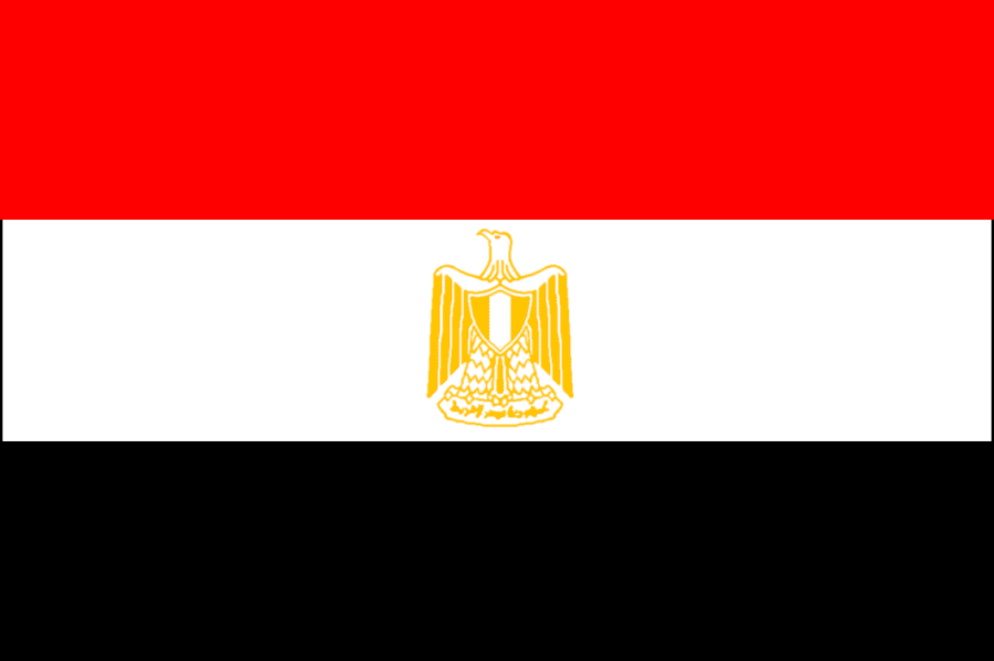 [egypt-flag.gif]