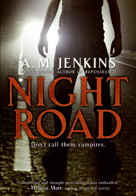 [night+road.jpg]