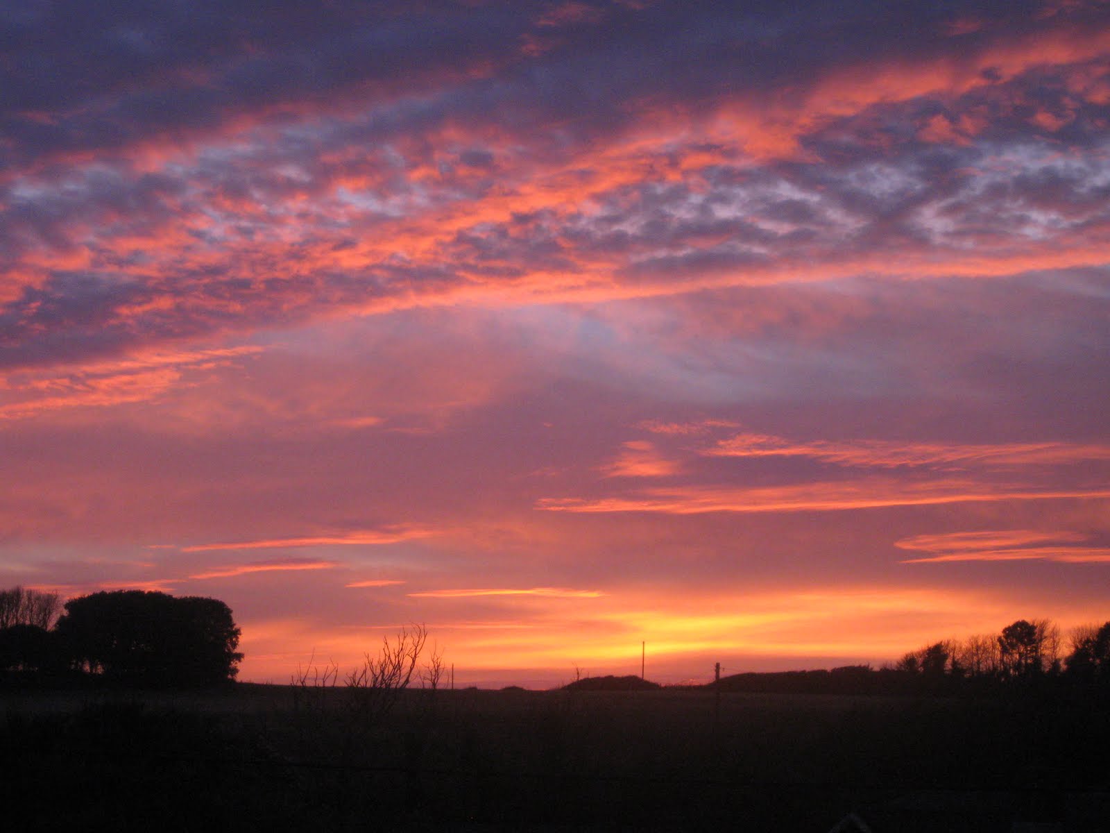 ROSE COTTAGE PINK SKY AT NIGHT