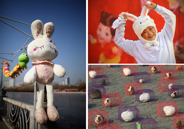 Chinese new year simple image collections: The Year Of Rabbit in China