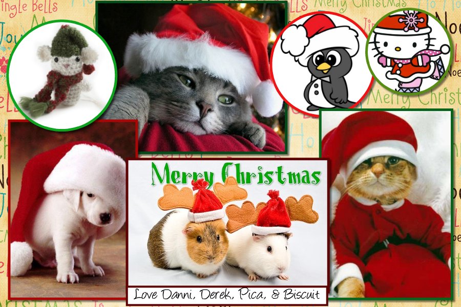 [Xmas+Card+Page+2.jpeg]