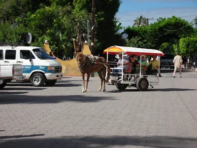 horse rides in mexico