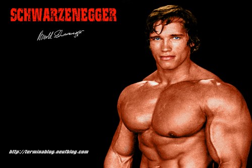 Arnold Schwarzenegger,Arnold