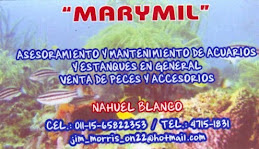 Cerealera "Marymil"