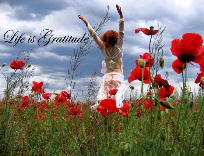 Life is Gratitude ....