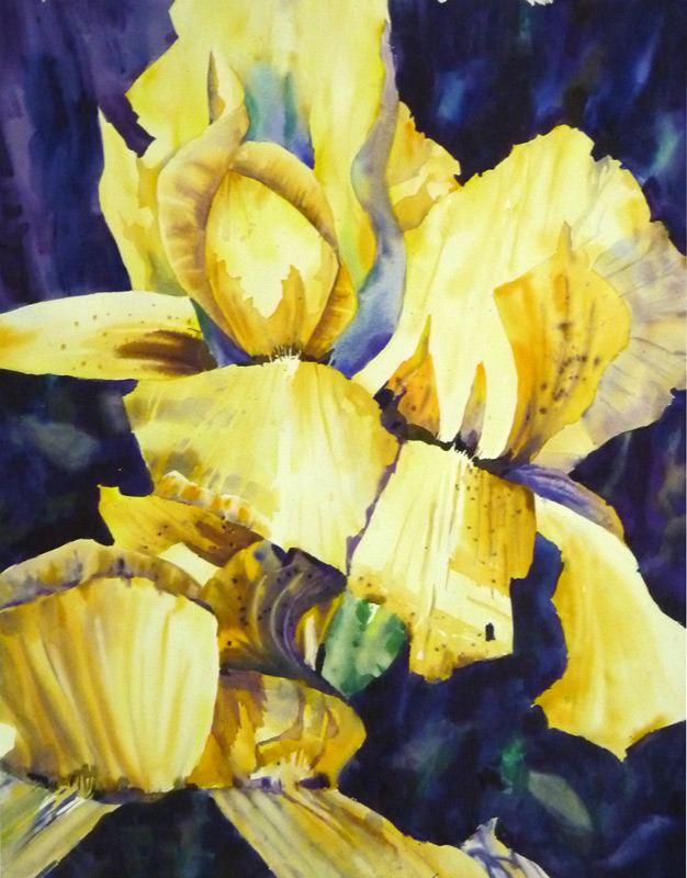 Sharon Lynn Williams' Art Blog "Fuschias", oil painting by Sharon Lynn