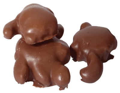chocolate-pecan-Turtles.jpg