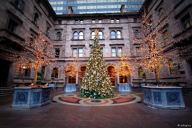 Albero di Natale all'hotel New York palace-New York