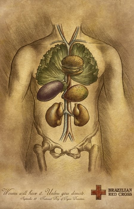 [organos-cruzada.jpg]