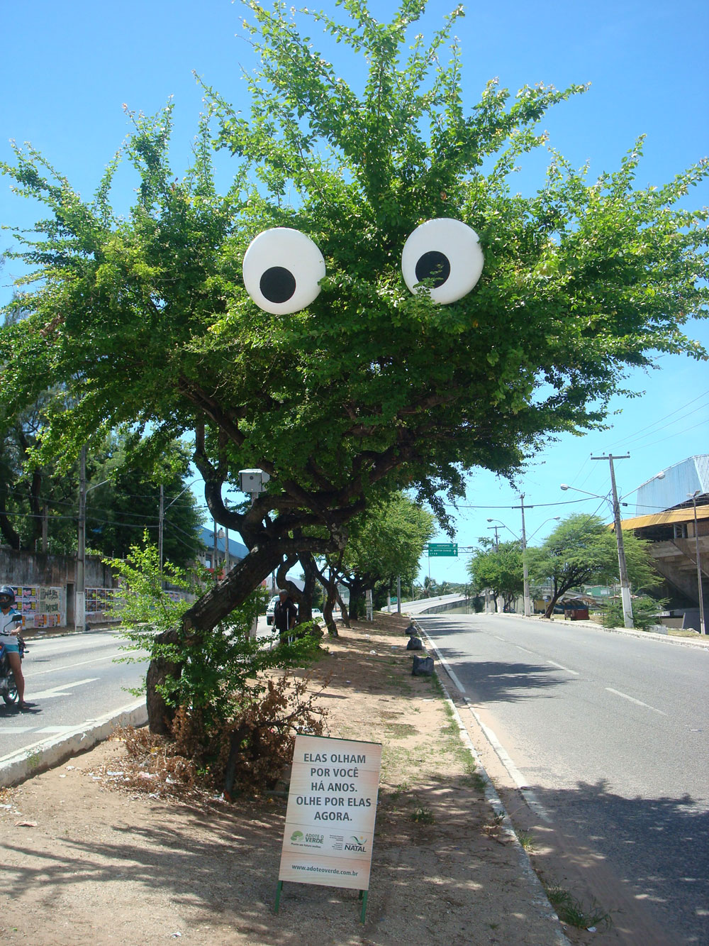 [adoteoverdeweb2.jpg]