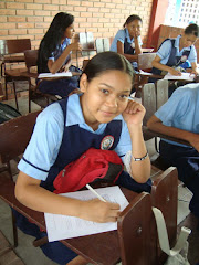 Institucion Educativa Foco Rojo