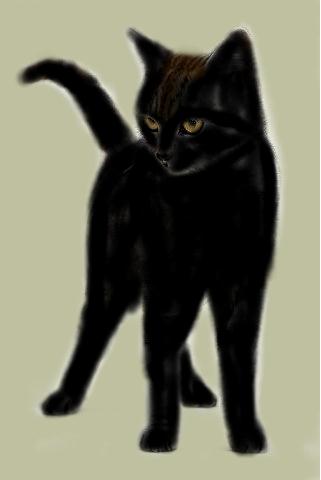 Shadowstar