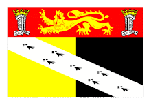 County Flag. Norfolk