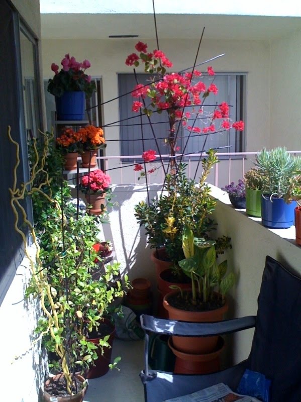 Dial In With Jeremy Gordon Dial In With Jeremy Gordon