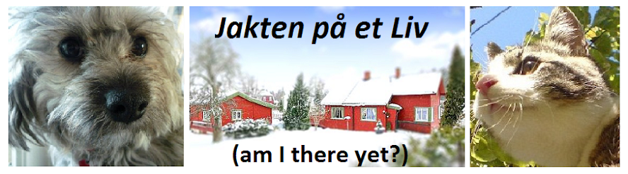 Jakten på Et Liv (am I there yet?)