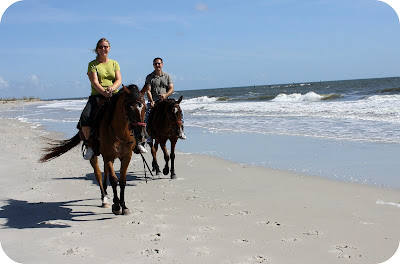 Amelia Island {8.10}