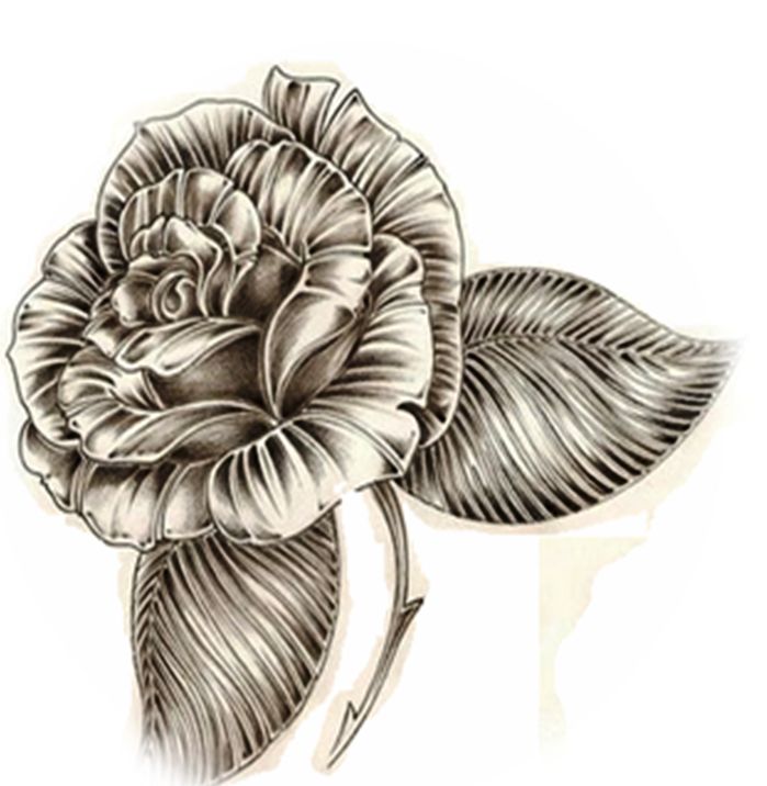 [Rosa+Duarte+Rosa.jpg]