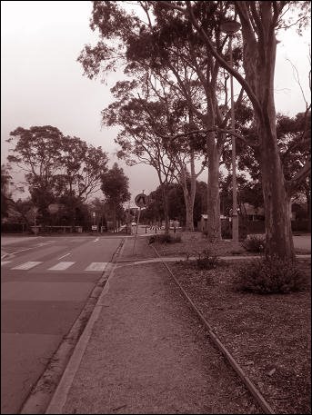 [P7141503.JPG]