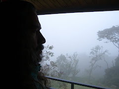Looking through the window pane.