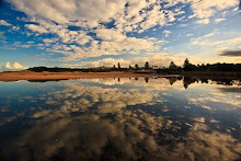 Narrabeen Lagoon reflection