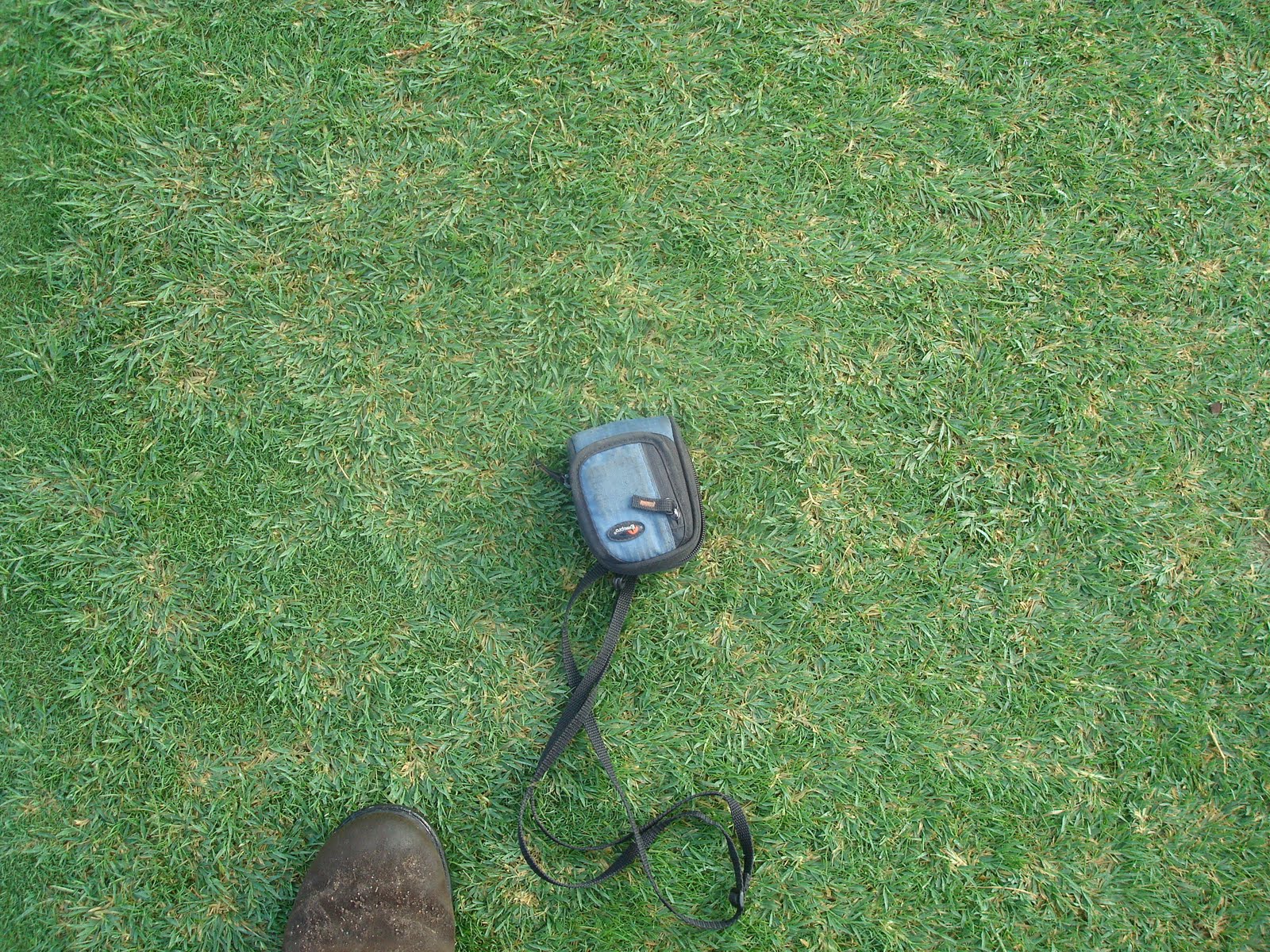 Glen Echo Country Club Golf Course Management Bermuda encroachment in