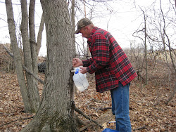 Consider Making Maple Syrup